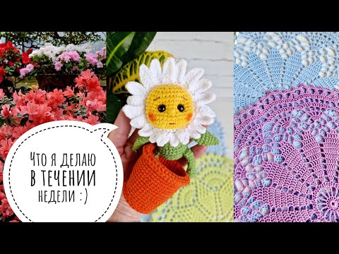 Видео: Влог. Рабочая неделя. Ботанический сад. Петербургская ярмарка.