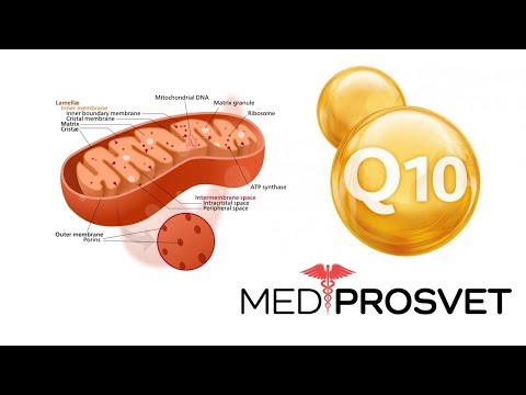 Видео: 0001: IHerb Коэнзим Q10 - Обзор