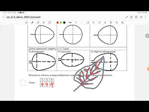 Видео: ВПР 6 класс по биологии, 2024
