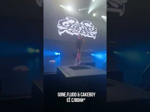 Видео: GONE.Fludd сниппеты невышедших треков. весна 2025