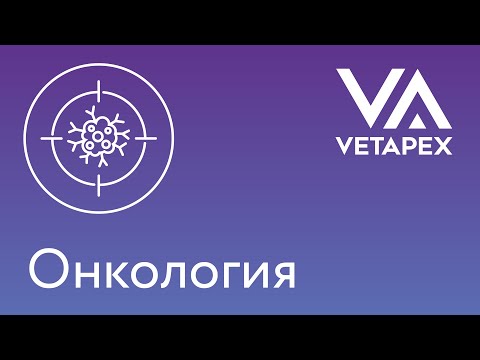 Видео: Кафедра Онкологии - "Канцерогенез"