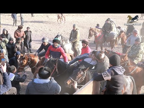 Видео: Бузкаши Дулона 12.01.2025/ Полная Версия Купкари Самандар Кенжаев