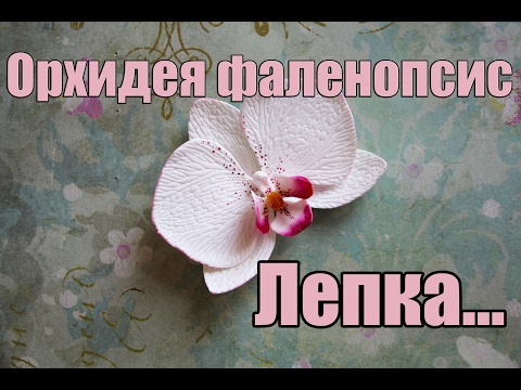 Видео: Орхидея фаленопсис. Лепка. Полимерная глина. Polymer clay.Orchid.