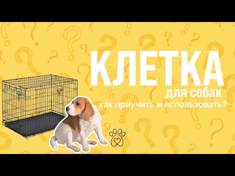 Видео: КЛЕТКА ДЛЯ СОБАК: как приучить и использовать?