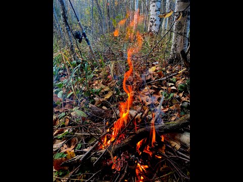 Видео: ВЗЯЛ СПИННИНГ И ПОЕХАЛ В ДИКИЕ МЕСТА