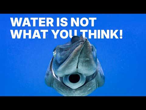 Видео: Вода: самая странная жидкость