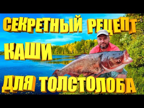Видео: РЕЦЕПТ САМАОЙ уловистой КАШИ на ТОЛСТОЛОБА или как обловить всех рыбаков. Секретная уловистая каша.