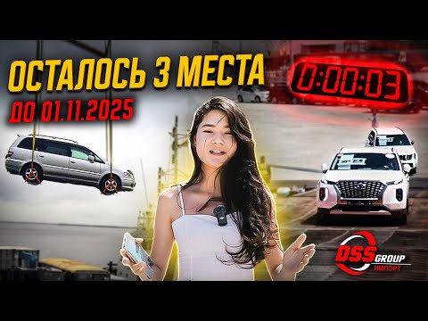 Видео: Успей до повышения УТИЛЬСБОРА! Какие машины мы везём из Кореи ПРЯМО СЕЙЧАС