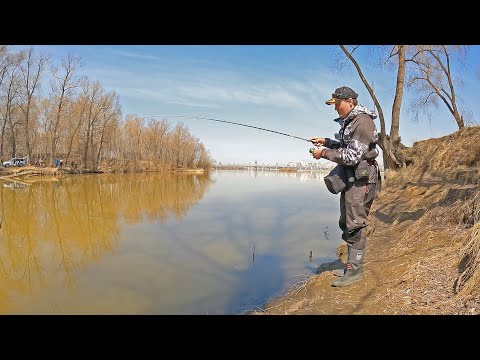 Видео: Микроджиг. Ловля окуня весной в Устье малой речки