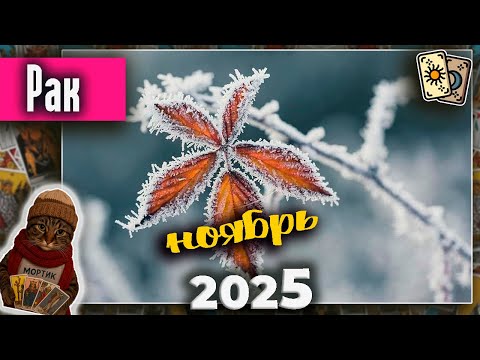 Видео: Рак Таро Ноябрь 2025