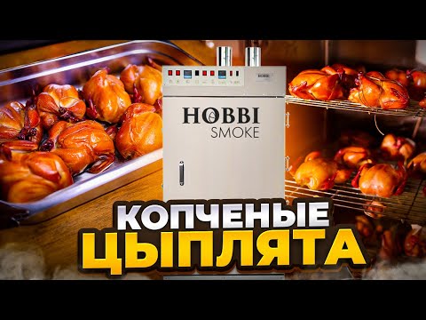 Видео: Цыплята корнишоны в камере hobbi smoke