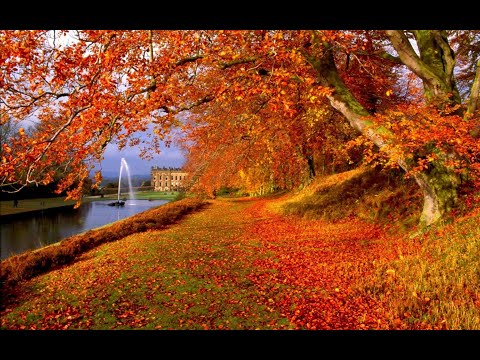 Видео: 2149-✨ВЛОГ - Осень/ Болталка/ Разное... /от 7 октября 2025г