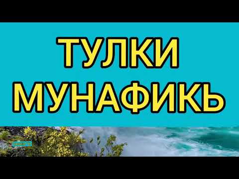 Видео: ТУЛКИ-МУНАФИКЬ