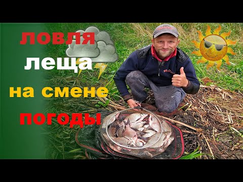 Видео: ловля леща на смене погоды