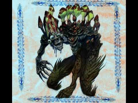 Видео: 11 ноября 2025 г.