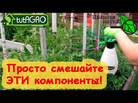 Видео: ОТ ЭТОГО УДОБРЕНИЯ РАССАДА КРЕПКАЯ и УРОЖАЙ СРАЗУ В 2 РАЗА БОЛЬШЕ. Борный эликсир "ТРИ КИСЛОТЫ".