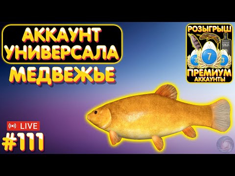 Видео: Медвежье 🔥 ПРЕМЫ и ЗОЛОТО в Телеге и на Trovo 🎁 Аккаунт универсала #111 🔥 Русская Рыбалка 4 #1142