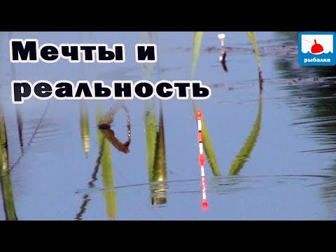 Видео: Карась, чеснок и перловка -  мечты и реальность, ловля на поплавок