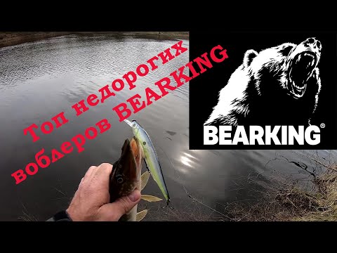 Видео: Лучшие недорогие воблеры на щуку 2020. Топ 5 недорогих воблеров Беркинг.  Ловля щуки 2020.