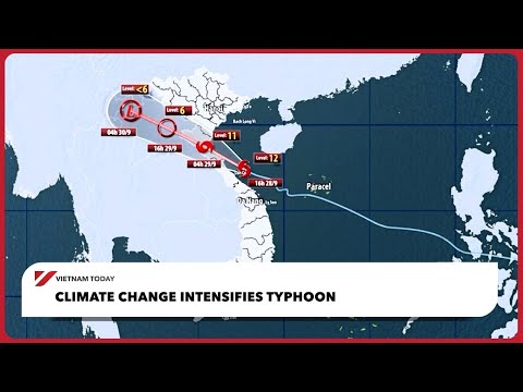 Видео: Изменение климата усиливает тайфуны | Vietnam Today