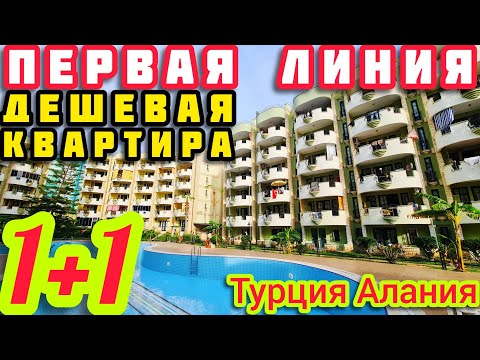 Видео: ПЕРВАЯ ЛИНИЯ ОЧЕНЬ ДЕШЕВО квартира в Алании НА МОРЕ недвижимость в Турции