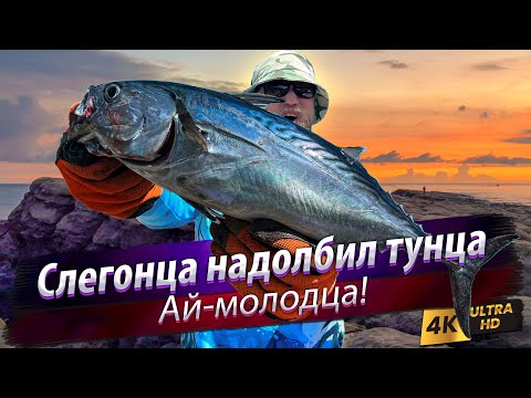Видео: 🇹🇼 Тунец ПОШЁЛ! Океаническая рыбалка с рифов. Сёрфтроллинг.