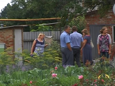 Видео: Как справиться с оспой сливы