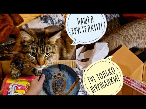 Видео: Кошка Морошка и Треугольный кот помогают с распаковкой посылки из Питера. Кот Марсель не чудовище!
