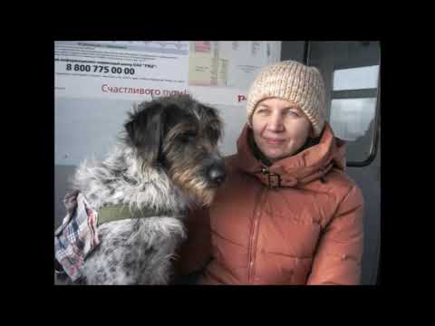 Видео: Палочка выручалочка 7 с субтитрами