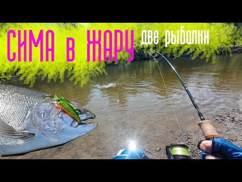 Видео: КРУТО ЗАКРЫЛ СЕЗОН | СИМА | РЫБЫЛКА на ДВУХ разных реках ✔️