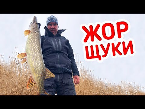 Видео: ХИТРАЯ СНАСТЬ на щуку В ДЕЛЕ!!! Рыбалка!