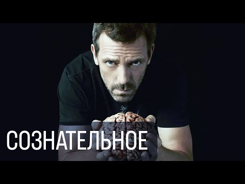 Видео: Сознательное и его желания