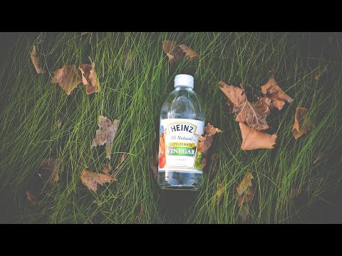 Видео: ЭФФЕКТИВНАЯ И ЭКОЛОГИЧНАЯ УБОРКА ДОМА// Мотивация на уборку//УБИРАЙ СО МНОЙ