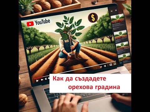 Видео: Как се сади орехова градина като професионалист? 🌳🔥