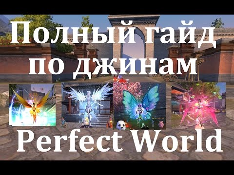 Видео: Полный гайд по джинам в Perefect World