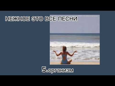 Видео: все песни группы "нежное это"