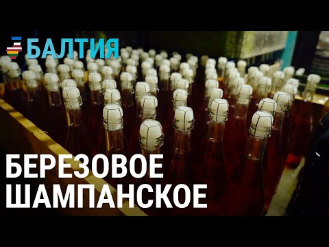 Видео: Вино из одуванчиков и шампанское из березового сока | БАЛТИЯ