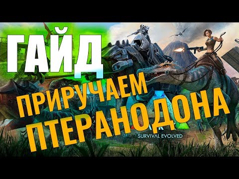 Видео: ПРИРУЧАЕМ ПТЕРАНОДОНА #ГАЙД ДЛЯ НОВИЧКОВ! Ark: Survival Evolved #5