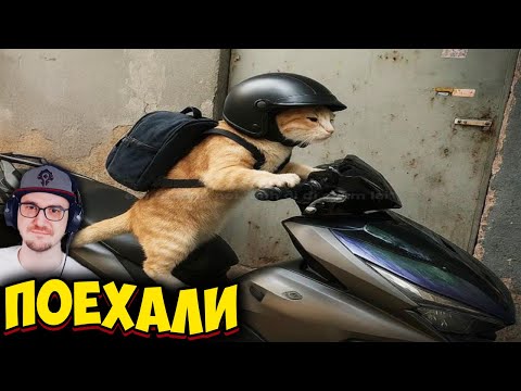 Видео: ЗАСМЕЯЛСЯ - ПРОИГРАЛ ► ЛУЧШИЕ ПРИКОЛЫ ( УЛЫБНУЛИСЬ ПРОИГРАЛИ ) | Реакция