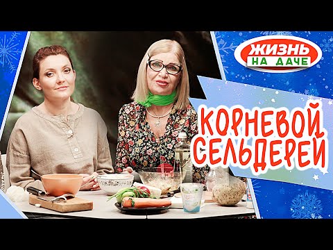 Видео: Учимся выращивать сельдерей.