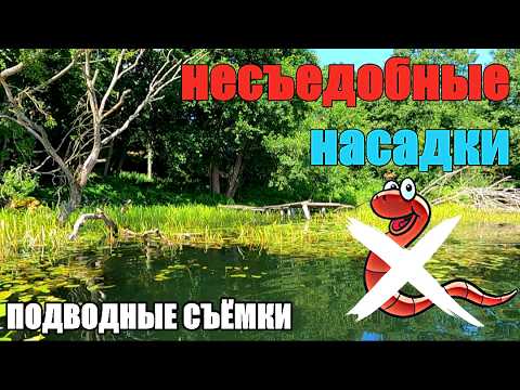 Видео: Опустил Камеру Под Воду На Трёх Озёрах. Реакция рыбы на искусственные насадки.