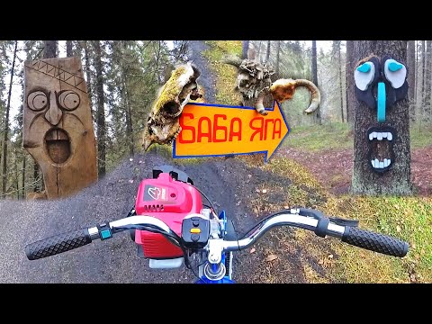 Видео: Тест драйв мотовелосипеда 1 литр на 50 км., еду к бабке Ёжке.