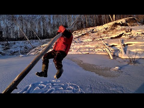 Видео: Рыбалка на Оби в коряжнике! Половили рыбку на балансир! Рыбалка 2023.Окунь