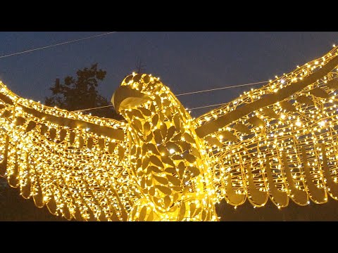 Видео: DS57rus в прямом эфире!