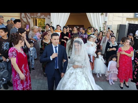 Видео: Загс Самарканд Андижони & Трикотажка
