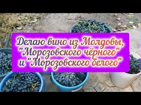 Видео: Делаю вино из Молдовы и двух форм неизвестного происхождения