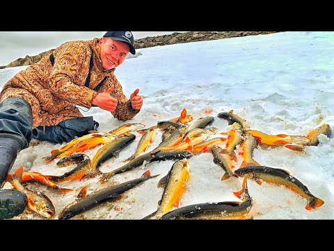 Видео: РЫБАЛКА НА ЛЕДНИКЕ В АРКТИКЕ!! ТОННЫ РЫБЫ У ВЕЧНОЙ МЕРЗЛОТЫ!!