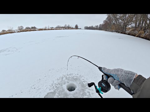 Видео: НЕ ЗРЯ ОПУСТИЛ БАЛАНСИР В ЭТУ ЛУНКУ! УДОЧКА ГНЁТСЯ, РЫБА ДАВИТ! Зимняя рыбалка на щуку.
