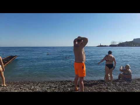 Видео: Кемер.Пляж отеля Фейм бич. Октябрь 2025 год.
