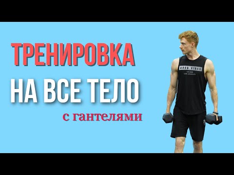 Видео: Силовая Тренировка На Все Тело с Гантелями / 20 МИН